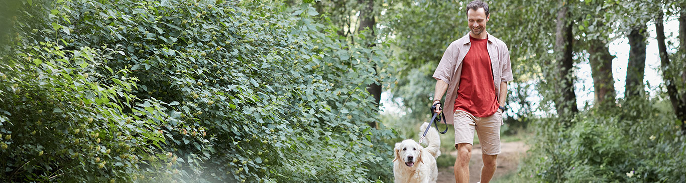 Man walking dog in woods