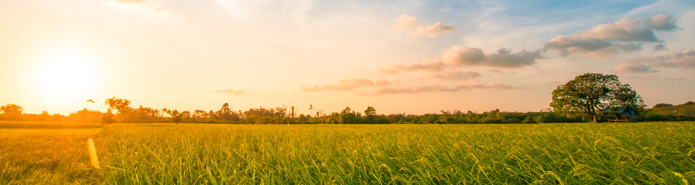 Vacant Land Loan