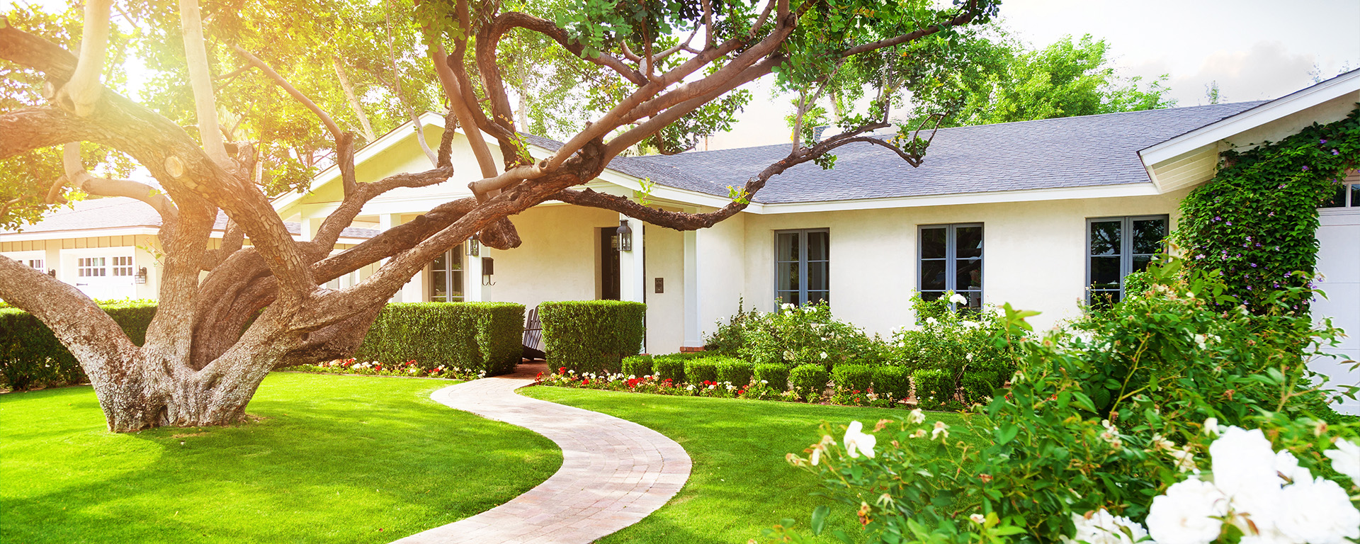 image of ranch style home with plush landscaping