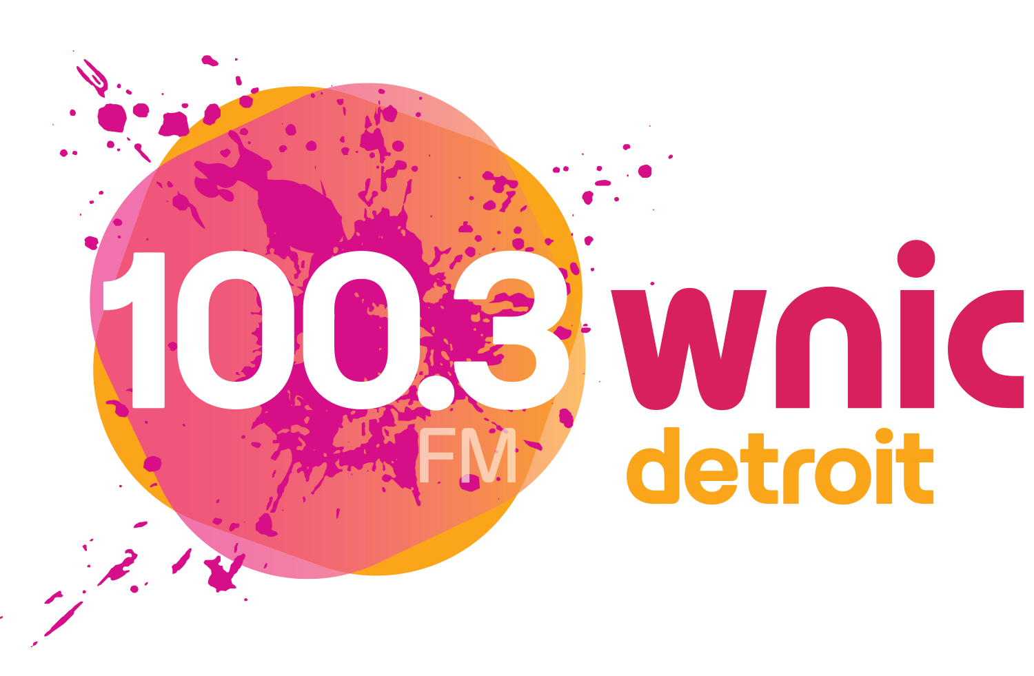 100.3 WNIC Logo