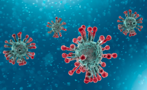 covid19 virus